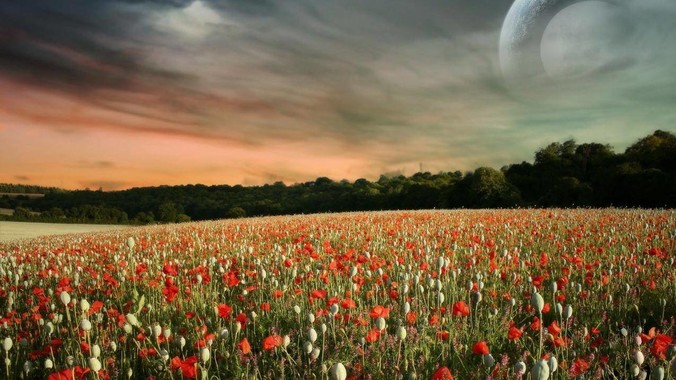 电影《碟中谍》系列中哪一部最好？